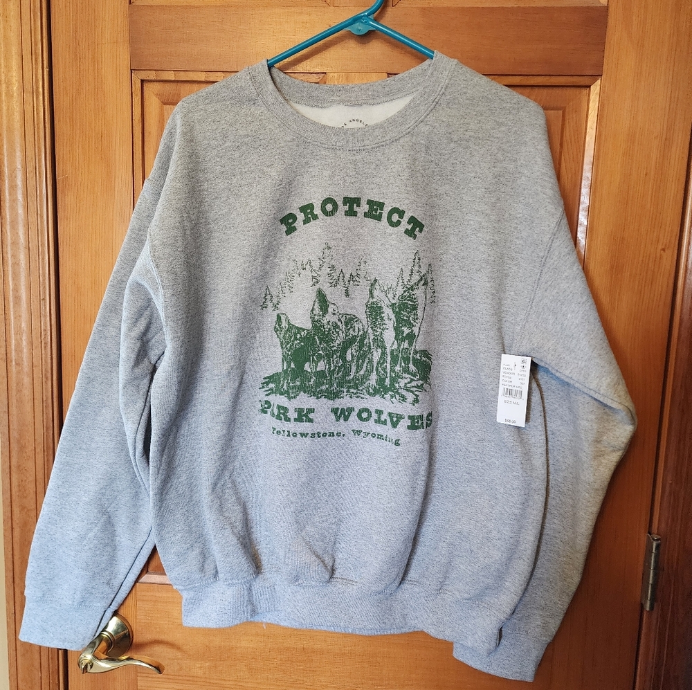 PacSun Crewtop